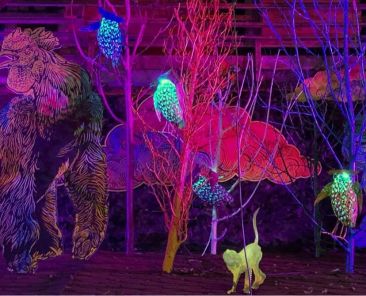 188020766_10160585680948943_1011403970545600557_n