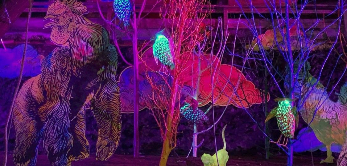 188020766_10160585680948943_1011403970545600557_n